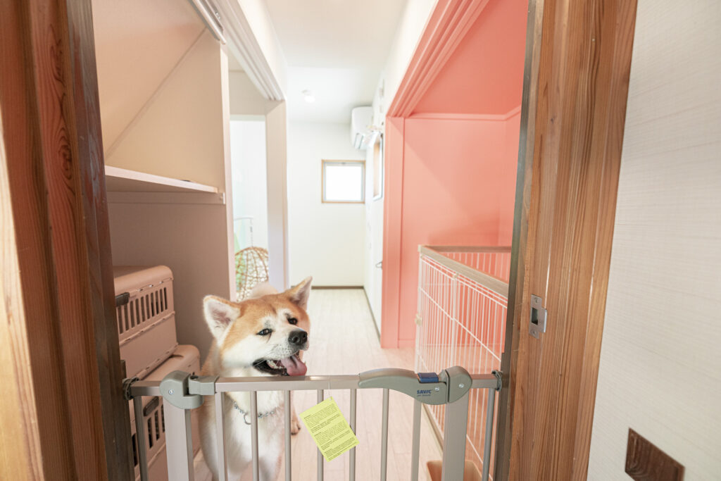 ペットスペース - Pet Room