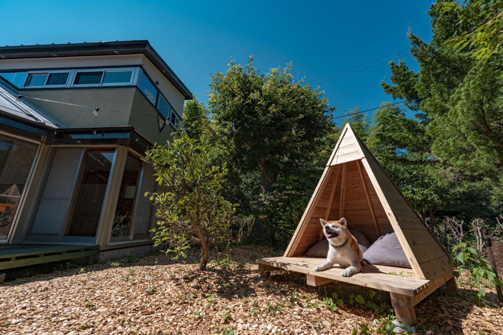 ドッグラン - Dog Park